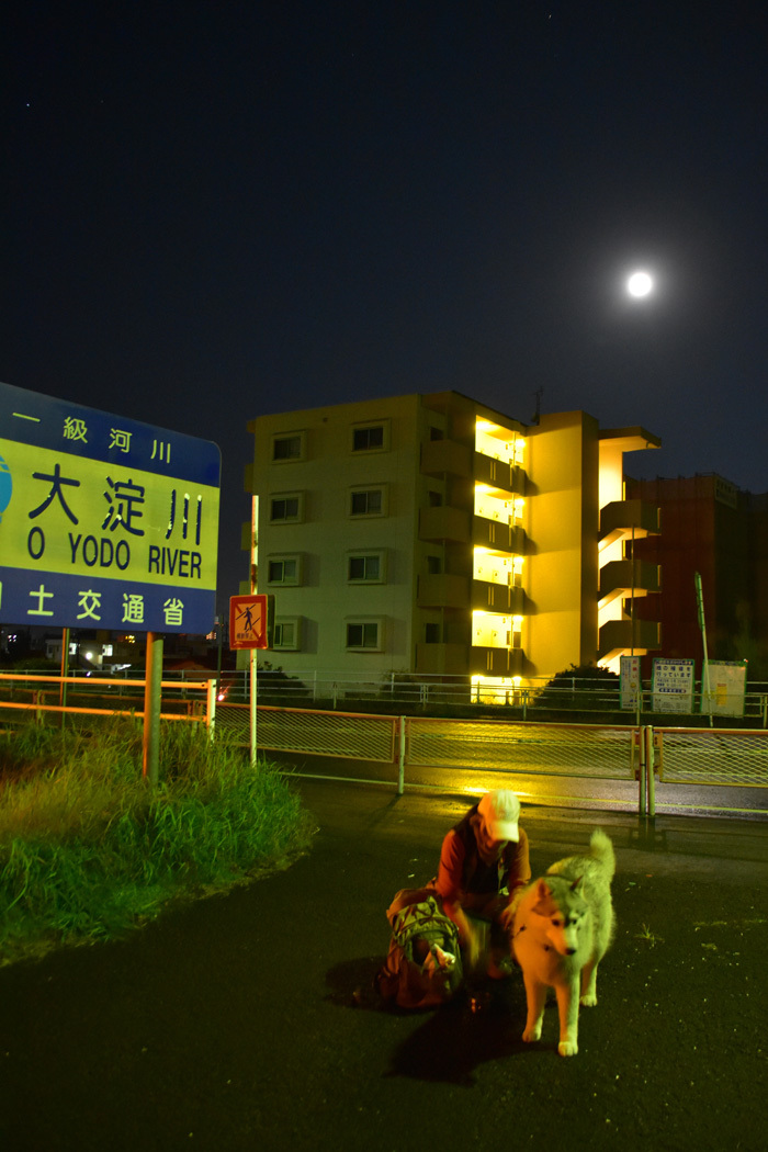 c0049299_23063739.jpg
