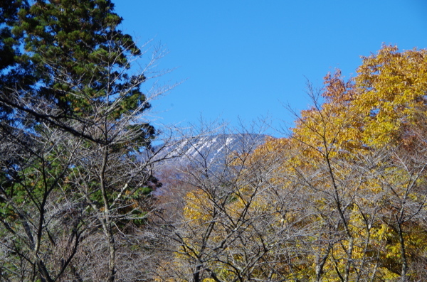 b0356401_21114393.jpg