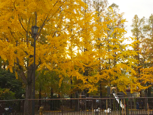 c0192202_21123141.jpg