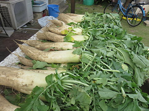 d0046702_21511811.jpg