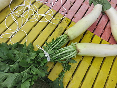 d0046702_21514778.jpg