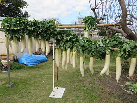 d0046702_21522811.jpg