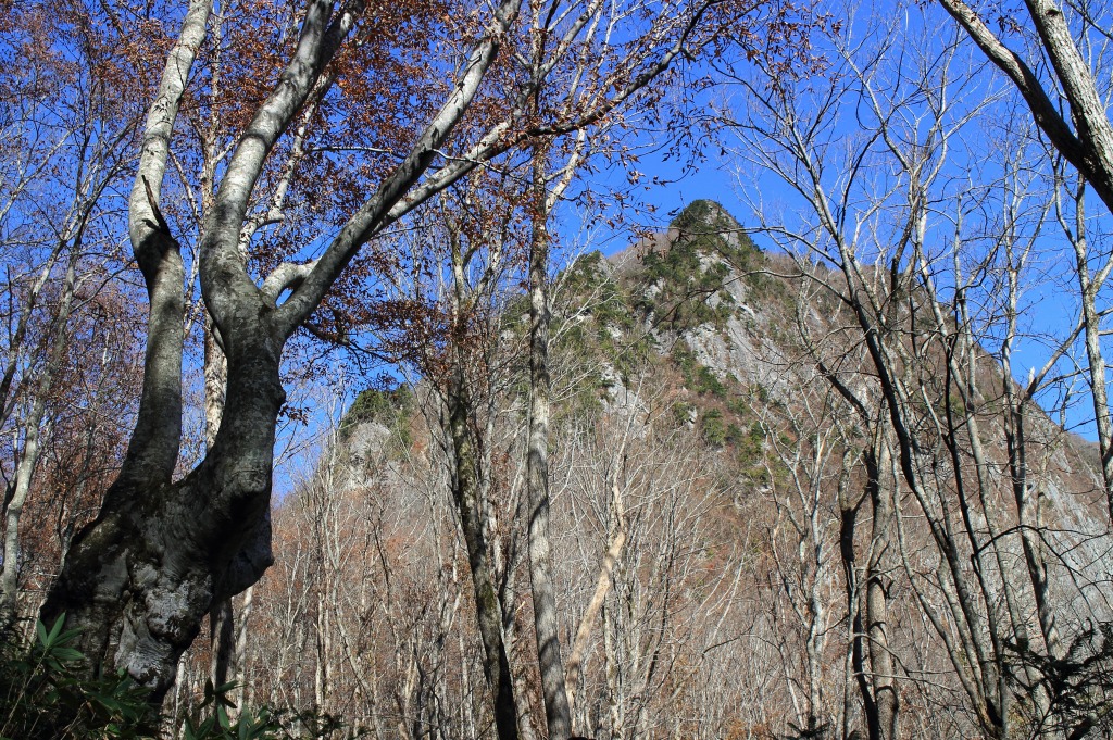b0050305_19554017.jpg