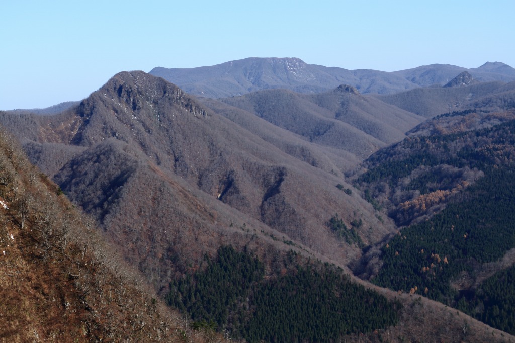 b0050305_2012739.jpg