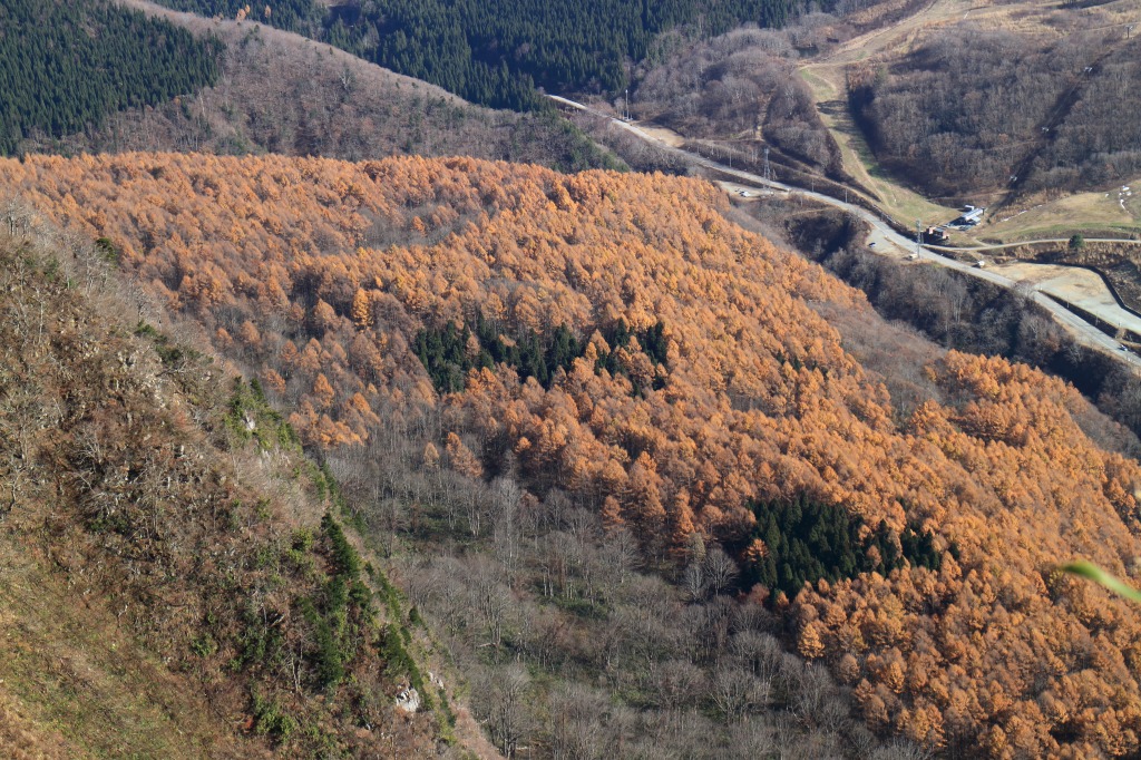 b0050305_20132547.jpg