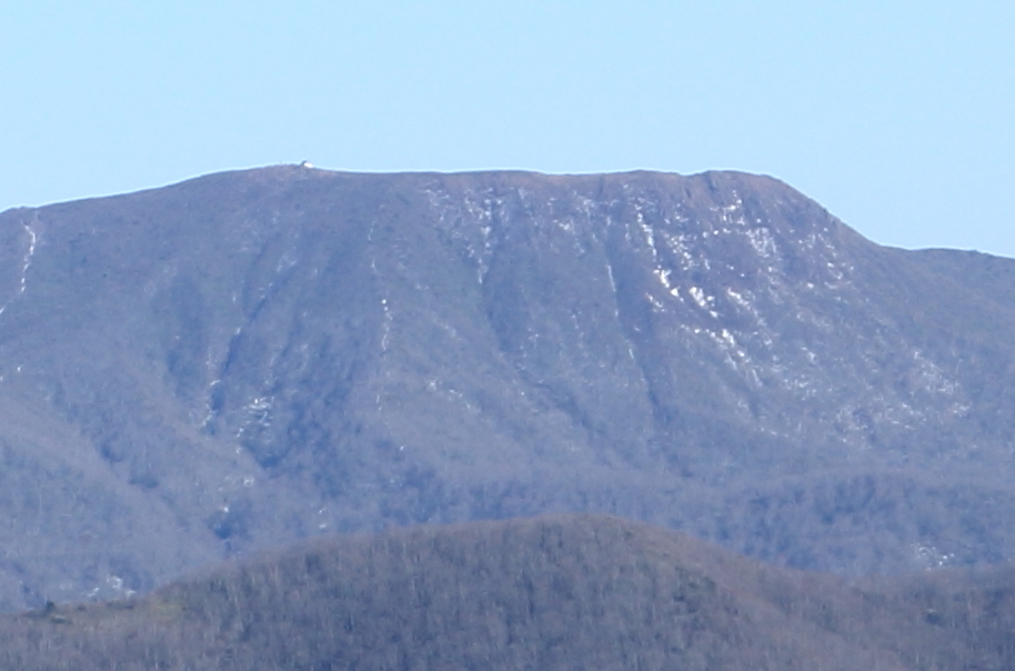 b0050305_2013373.jpg
