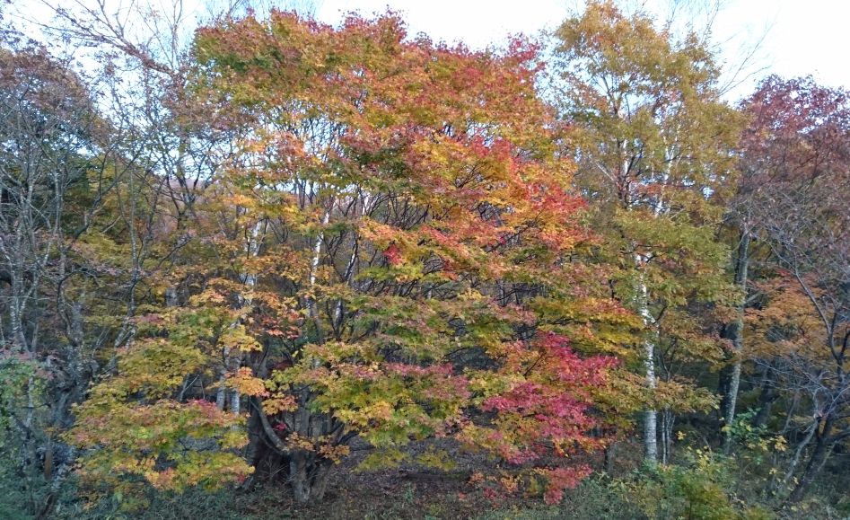 b0172805_9404272.jpg
