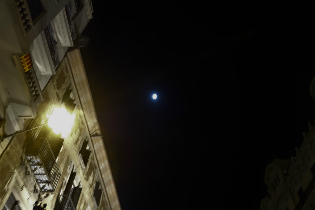 b0064411_08282345.jpg