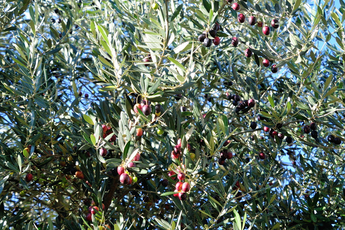 a0189912_23041638.jpg