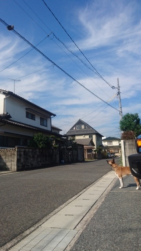 a0251413_14314219.jpg