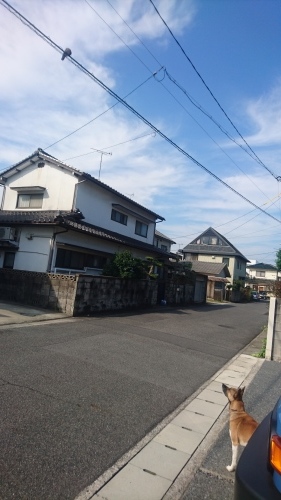 a0251413_14320432.jpg