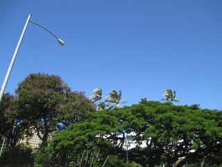 a0242019_4552013.jpg