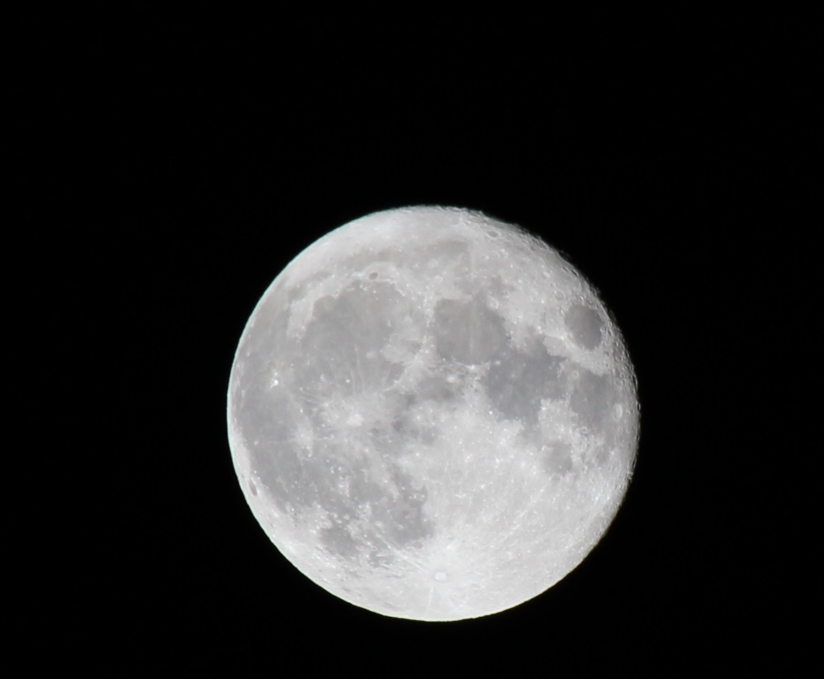 e0166032_10410082.jpg