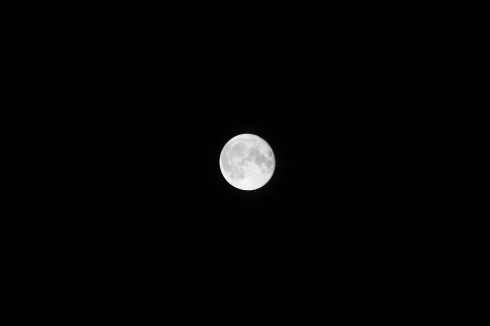 e0166032_10430822.jpg