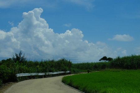 c0148238_19140575.jpg