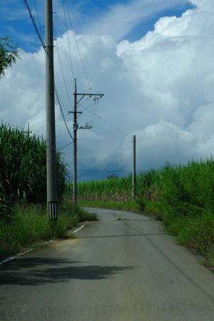 c0148238_19141309.jpg