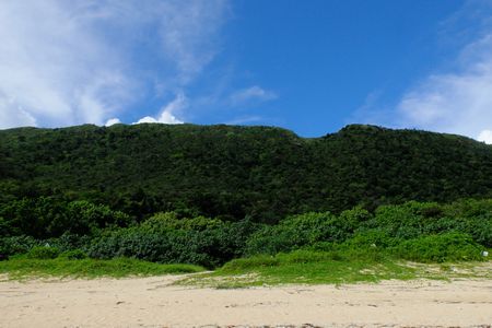 c0148238_19153718.jpg