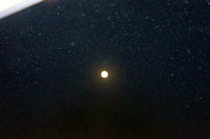 a0135840_1855597.jpg