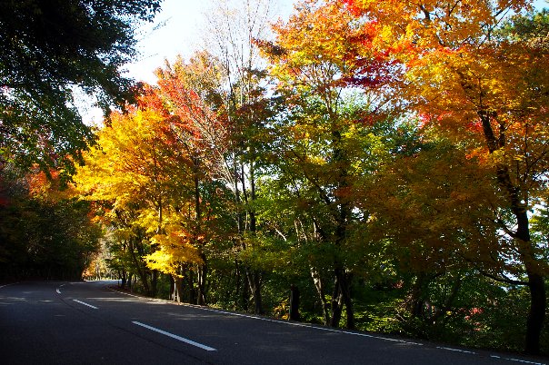 b0149340_18142510.jpg