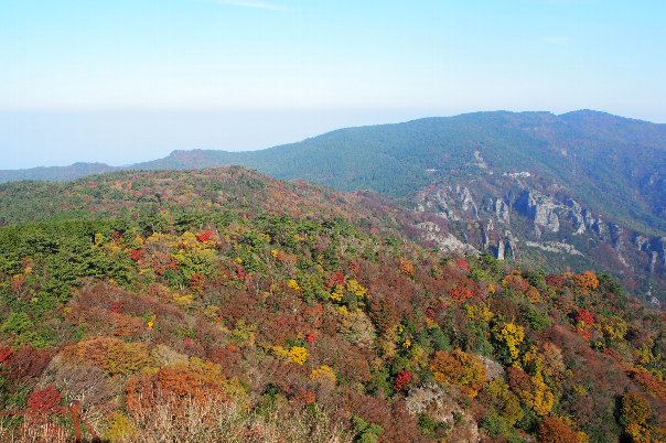 b0149340_2023395.jpg