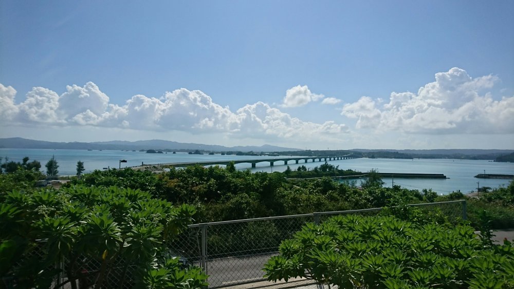 d0142944_23383367.jpg