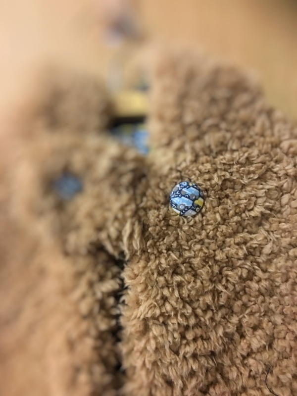 f0375749_19102453.jpg