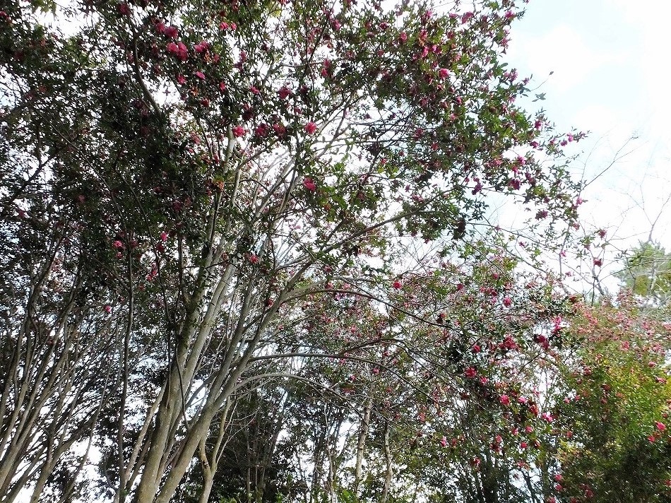 b0236251_22481633.jpg