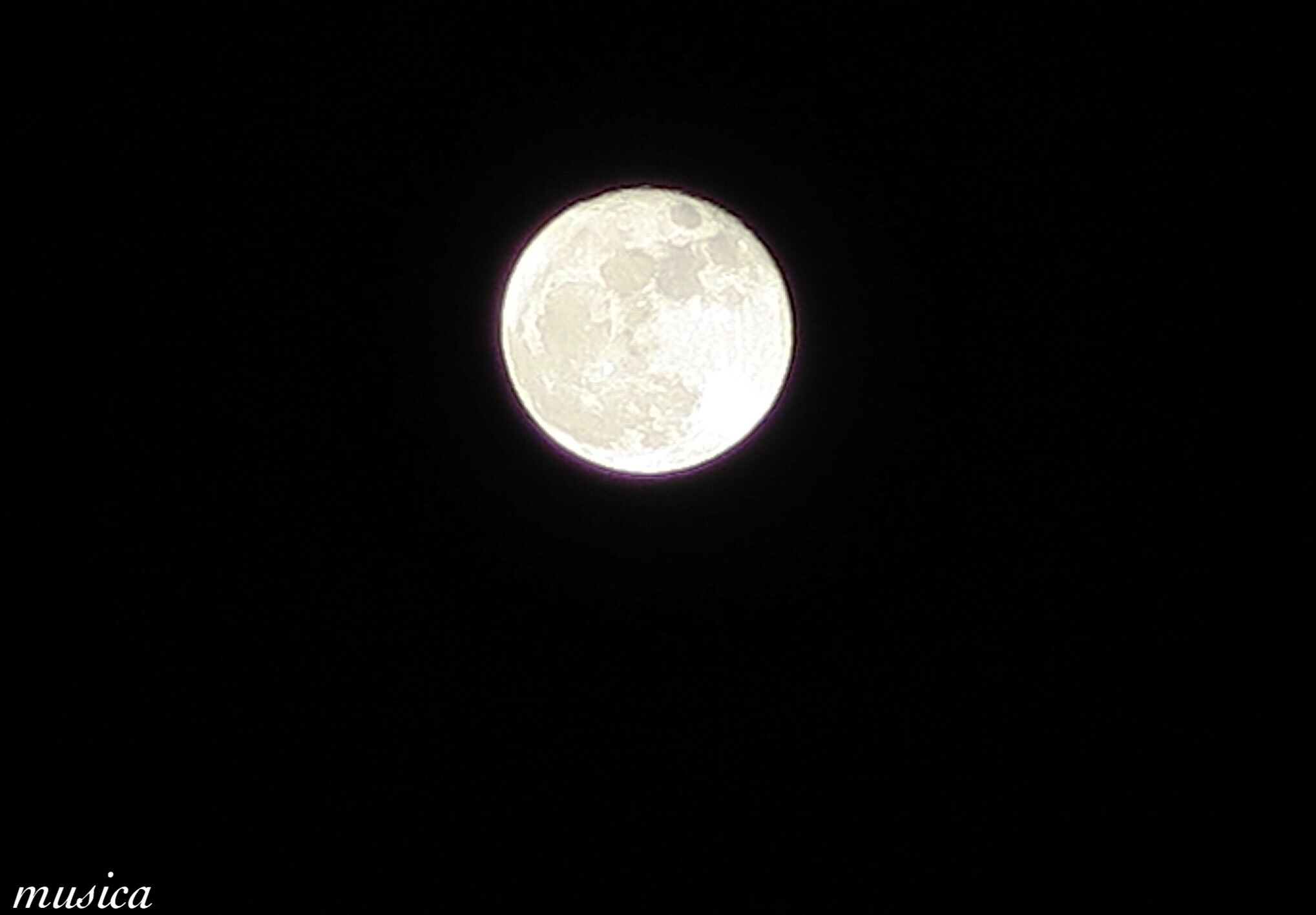 f0351853_02482863.jpg