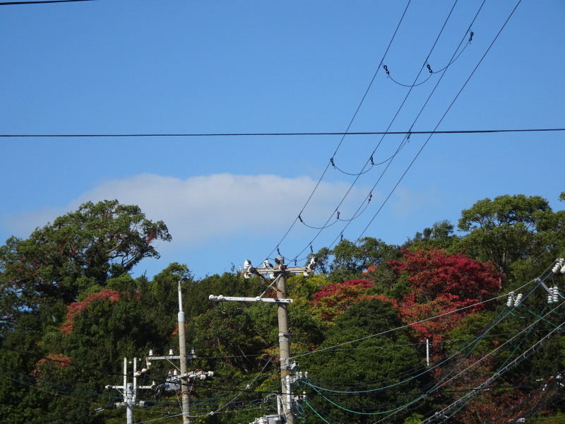 c0108460_15574608.jpg