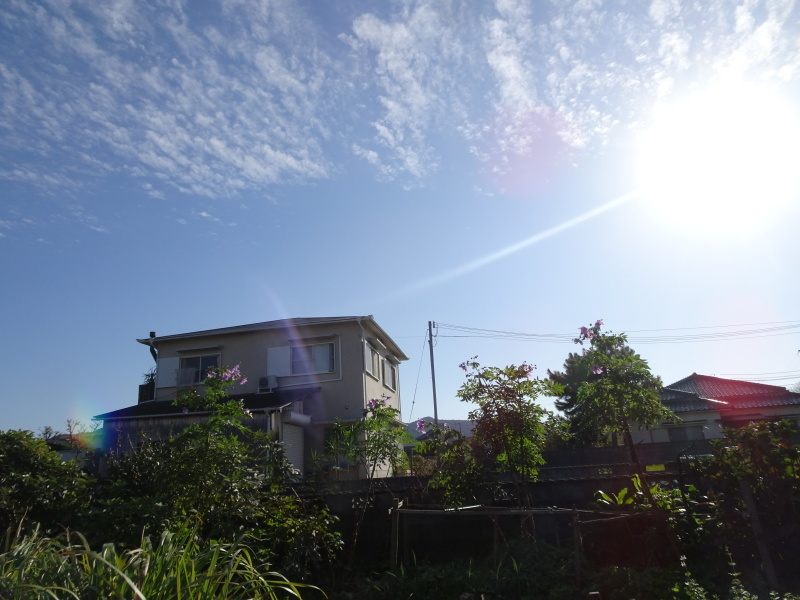 c0108460_15581498.jpg