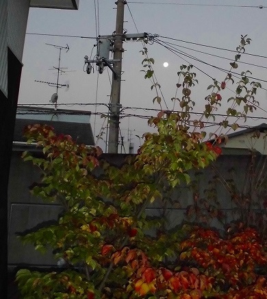 e0002466_20125894.jpg