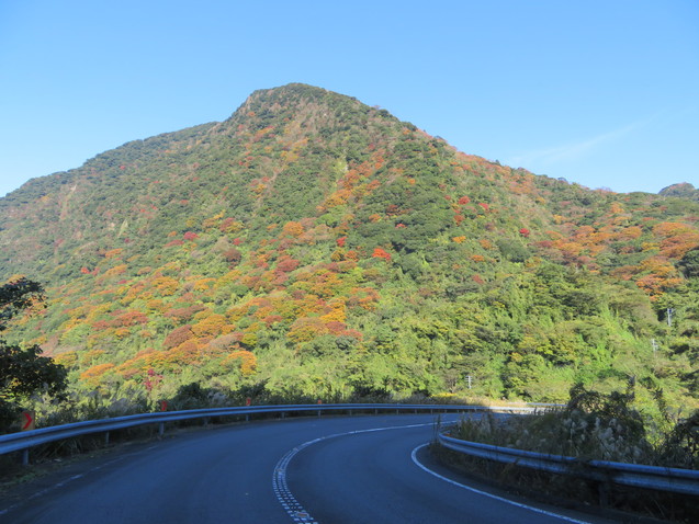 c0042869_19155100.jpg