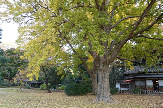 d0193569_9454167.jpg