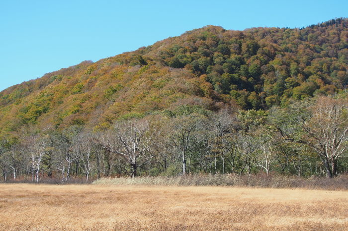 e0307372_14495555.jpg