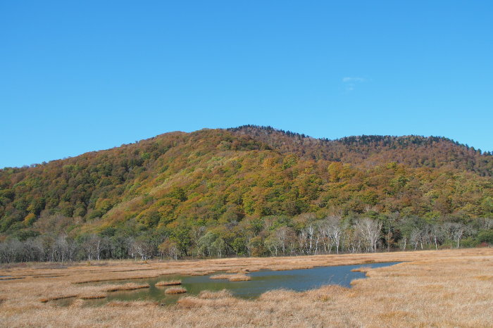 e0307372_14551641.jpg