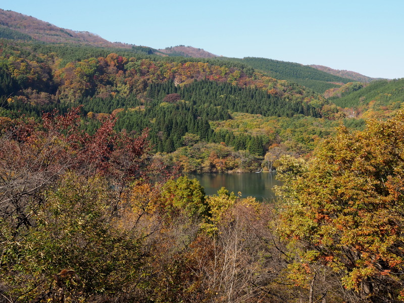 f0372177_22413896.jpg