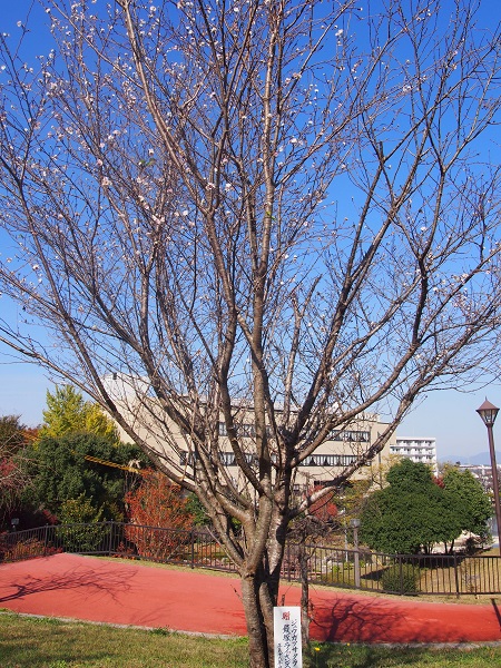 f0101679_16555197.jpg