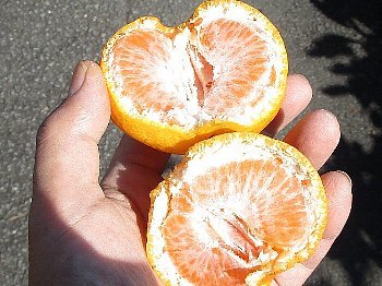 f0003283_17220685.jpg