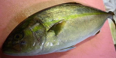 c0204385_11025253.jpg