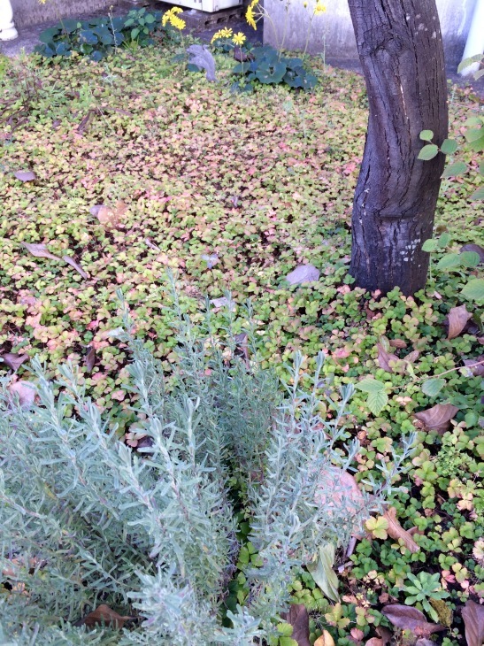 a0263388_14214940.jpeg
