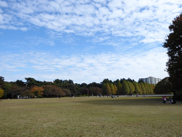 b0287088_19295419.jpg