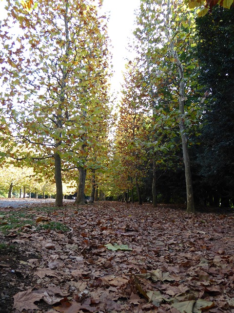 b0287088_1936176.jpg