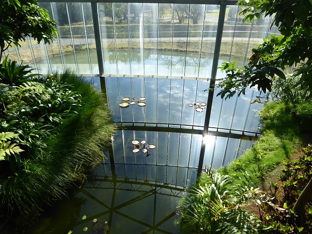 b0287088_19442383.jpg