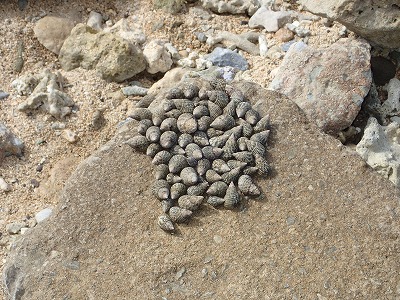 f0338188_10345576.jpg