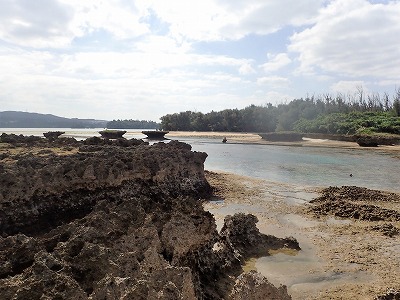 f0338188_19102953.jpg