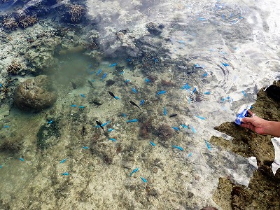 f0338188_1992917.jpg