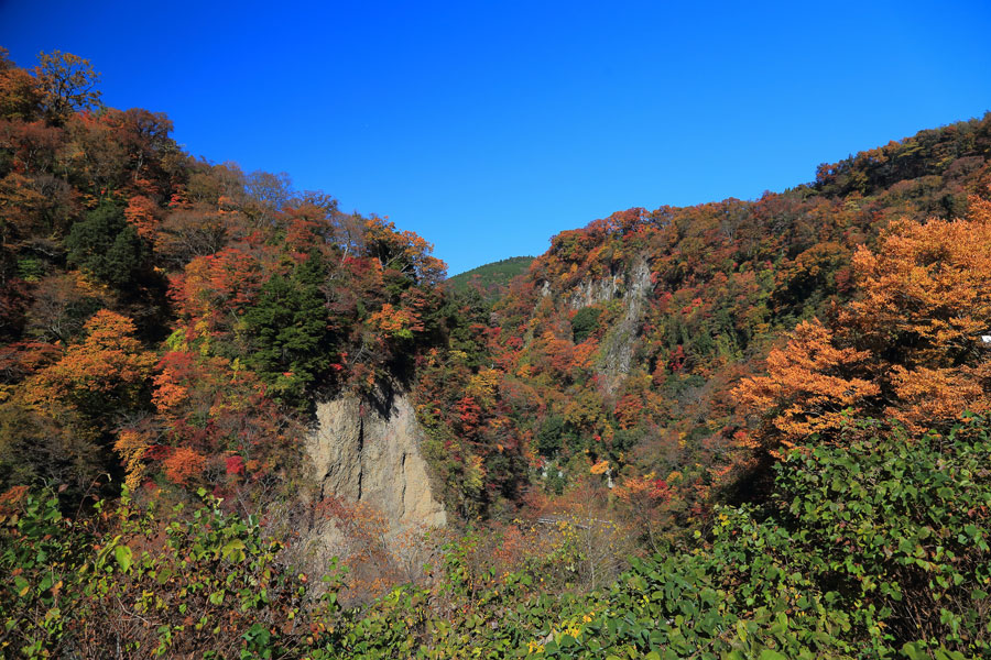 e0093903_8434169.jpg