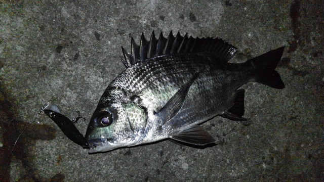 d0325609_21541222.jpg