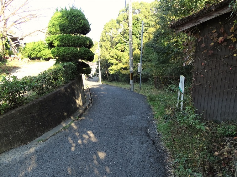 e0360409_13030122.jpg