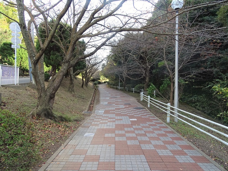 e0360409_13030876.jpg
